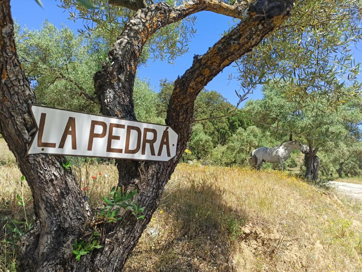 Casa Rural La Pedra Ronda Exterior foto